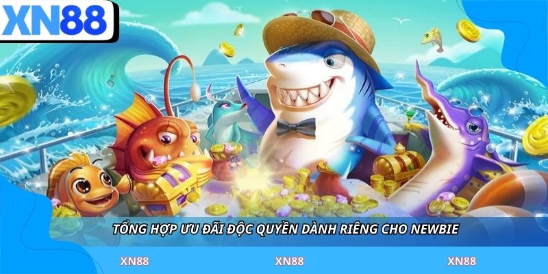 Tổng hợp ưu đãi độc quyền dành riêng cho newbie